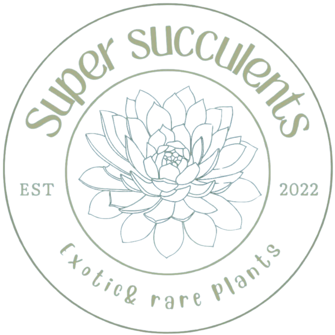 Super Succulents